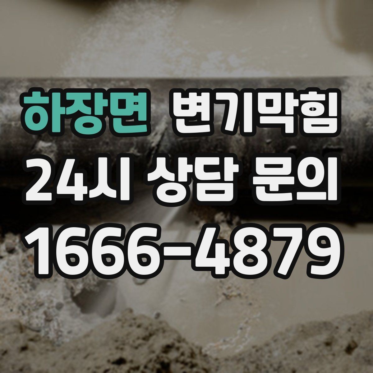 하장면 변기막힘 카페 내시경 이물 안전 회수
