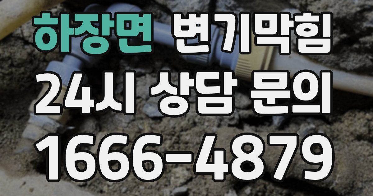 하장면 변기