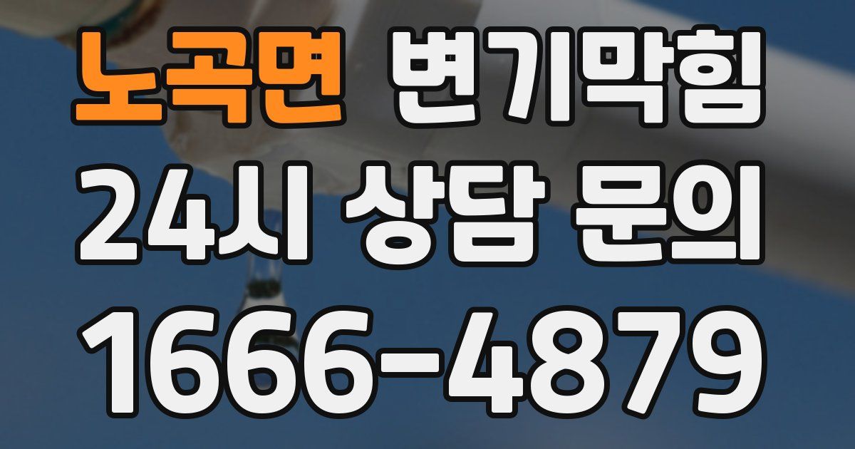 노곡면 변기