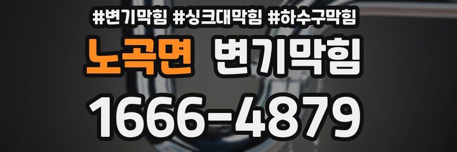 변기막힘
