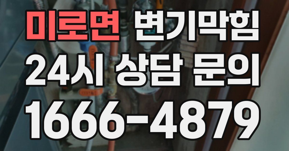 미로면 변기