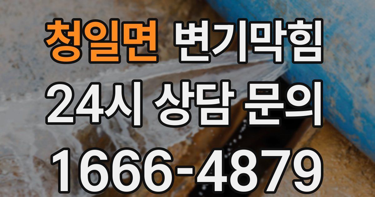 청일면 변기