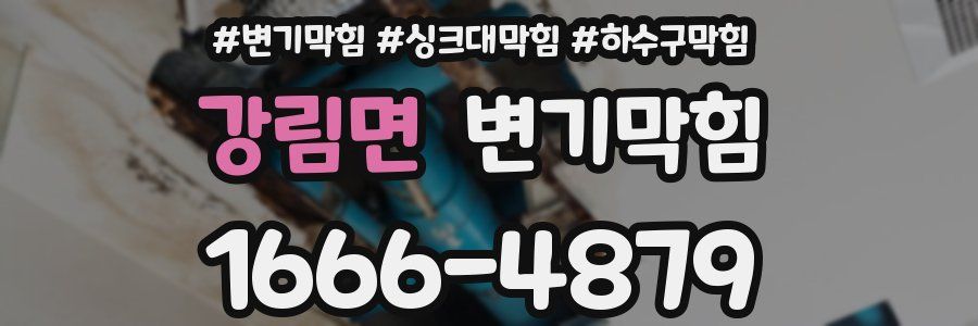 변기막힘