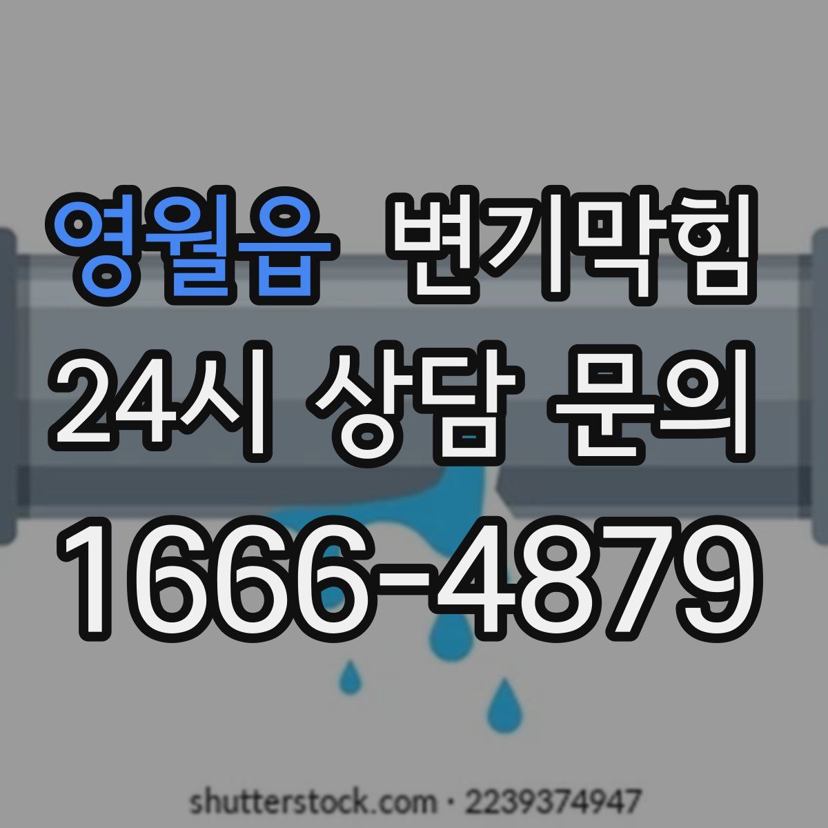 영월읍 변기막힘