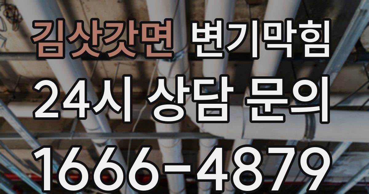 김삿갓면 변기