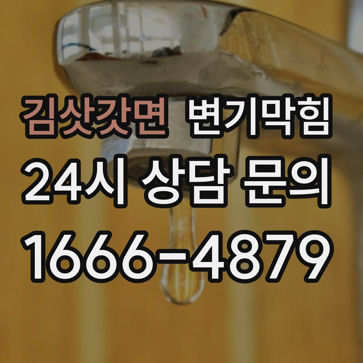 김삿갓면 변기막힘
