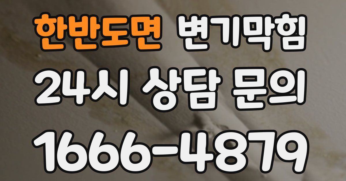 한반도면 변기