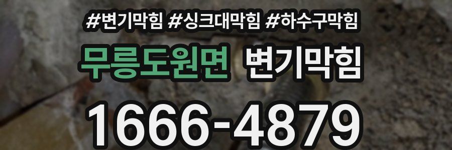 변기막힘
