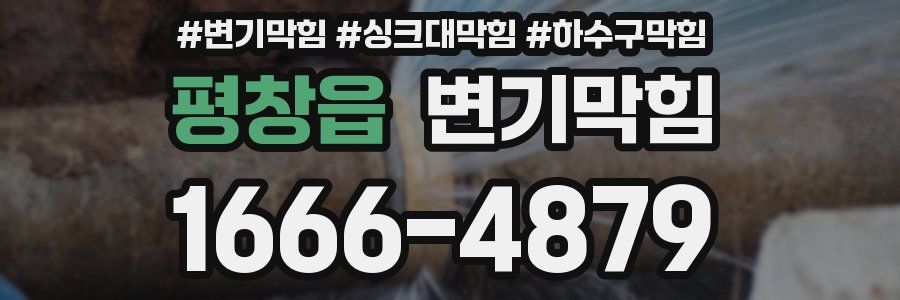 변기막힘
