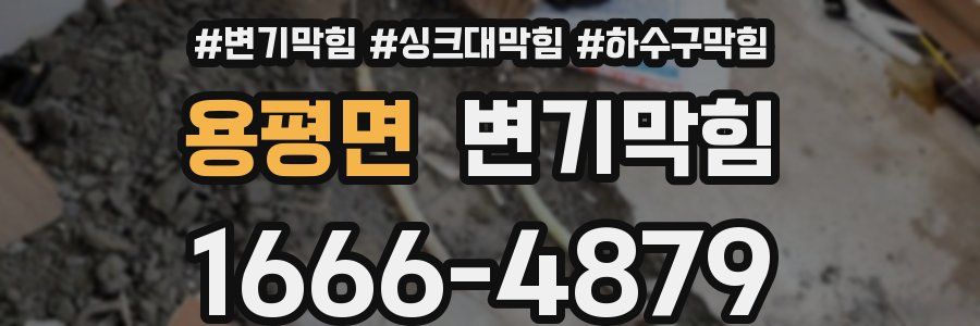 변기막힘
