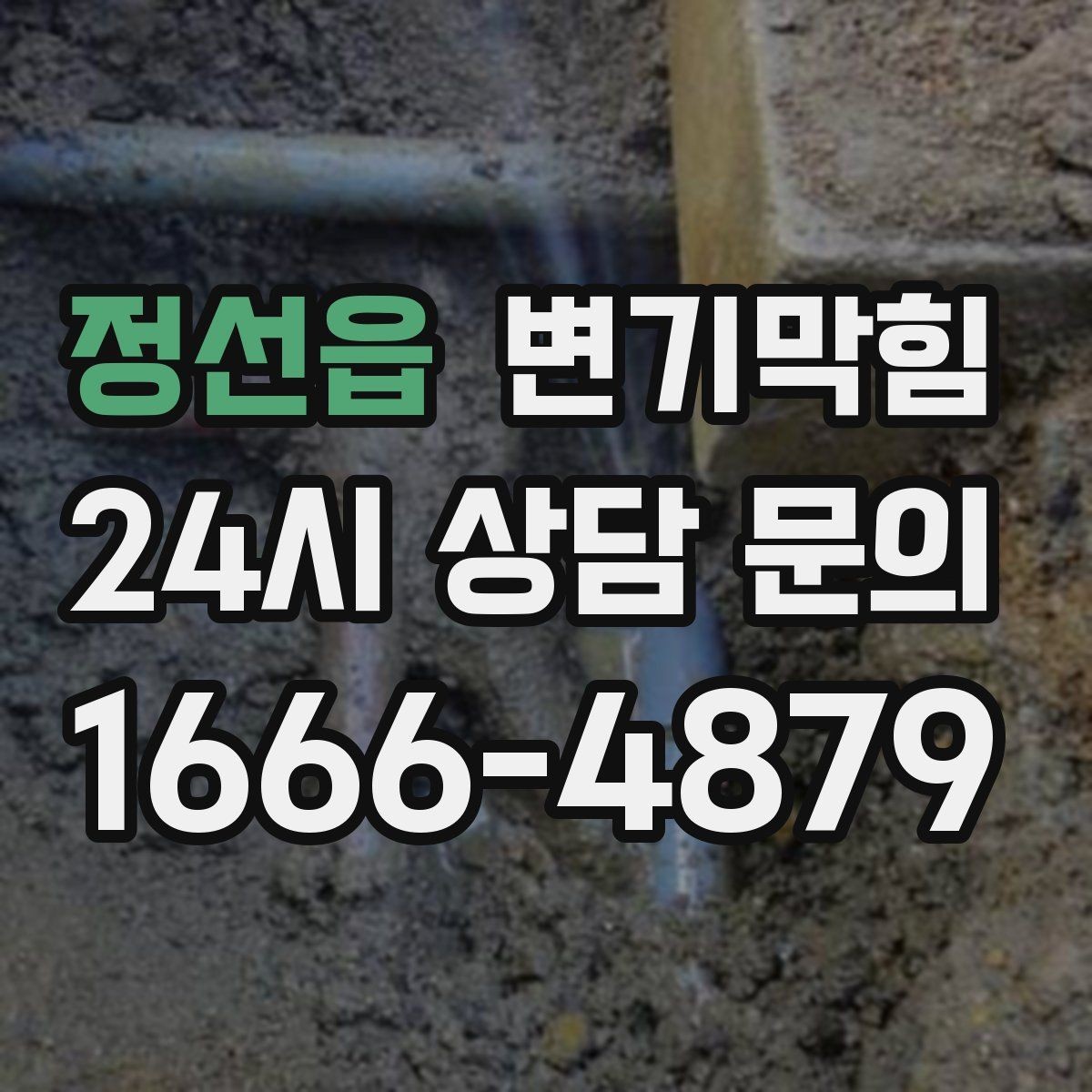 정선읍 변기막힘 사무실 화장실역류 공조·통기 동시 개선