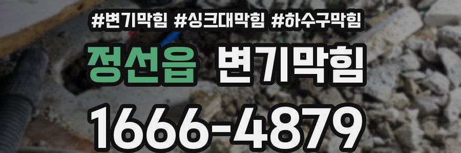 변기막힘