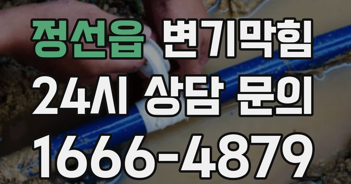 정선읍 변기