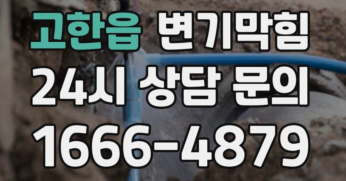 고한읍 변기