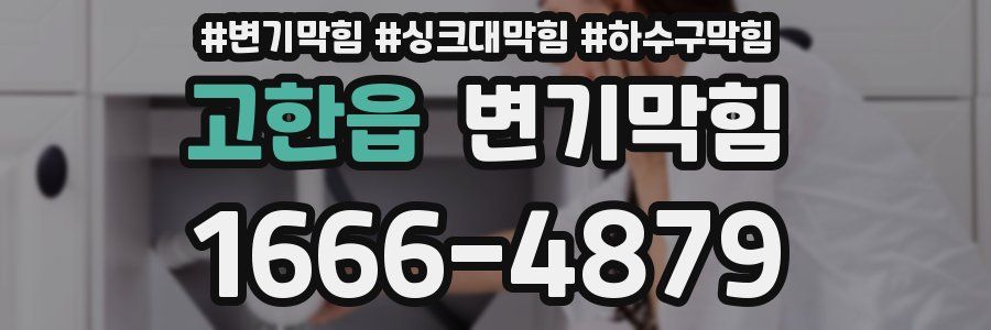 변기막힘