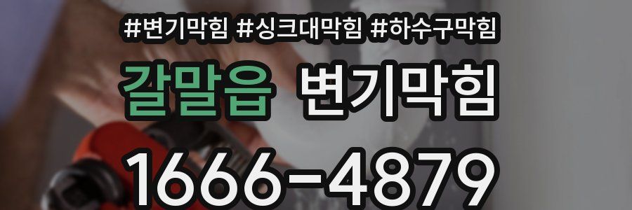 변기막힘