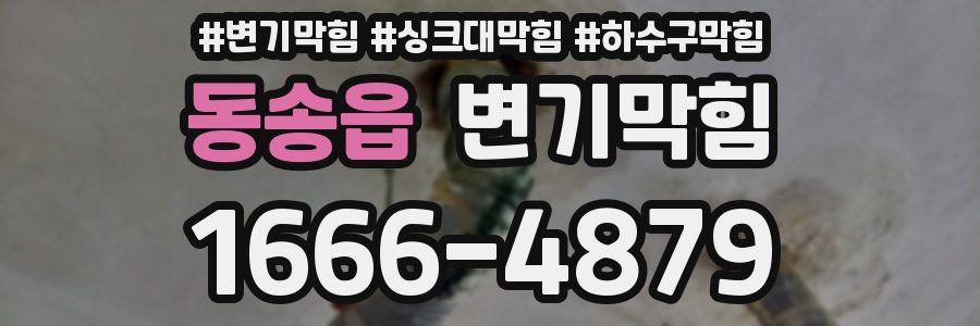 변기막힘