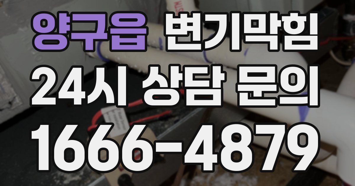양구읍 변기
