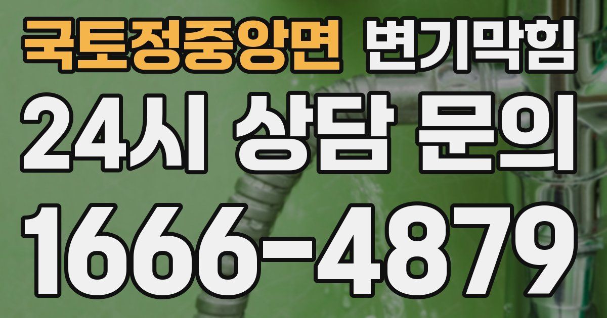 국토정중앙면 변기