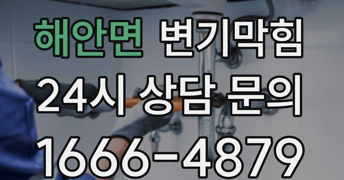 해안면 변기