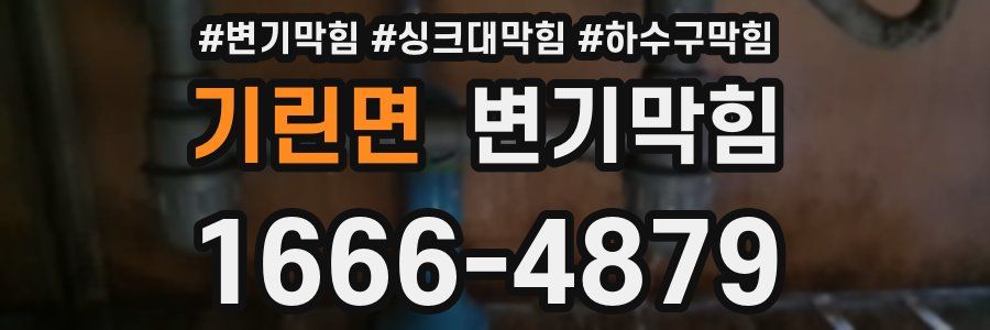 변기막힘