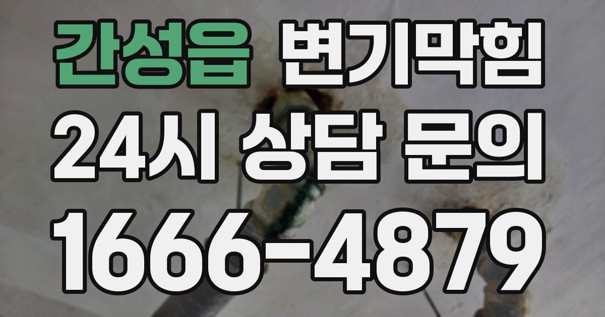 간성읍 변기