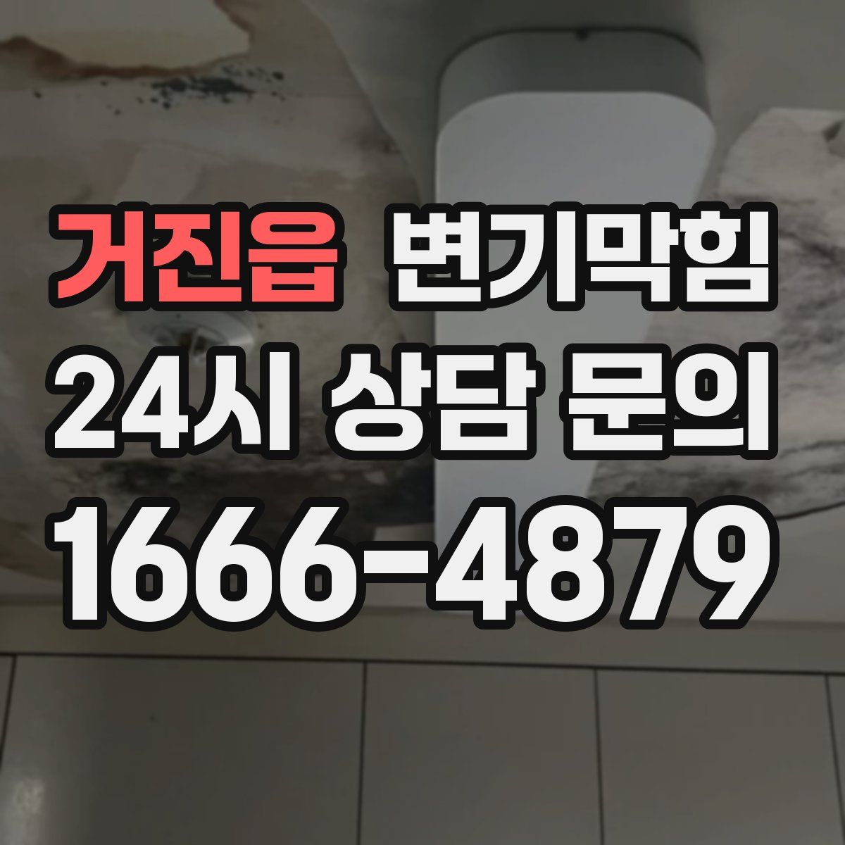거진읍 변기막힘