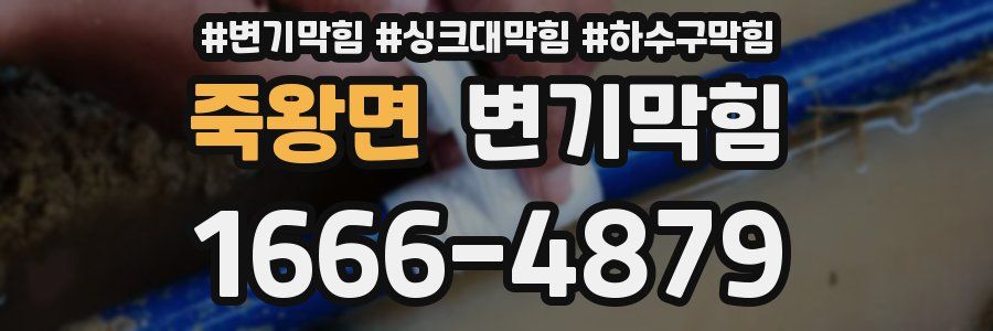 변기막힘