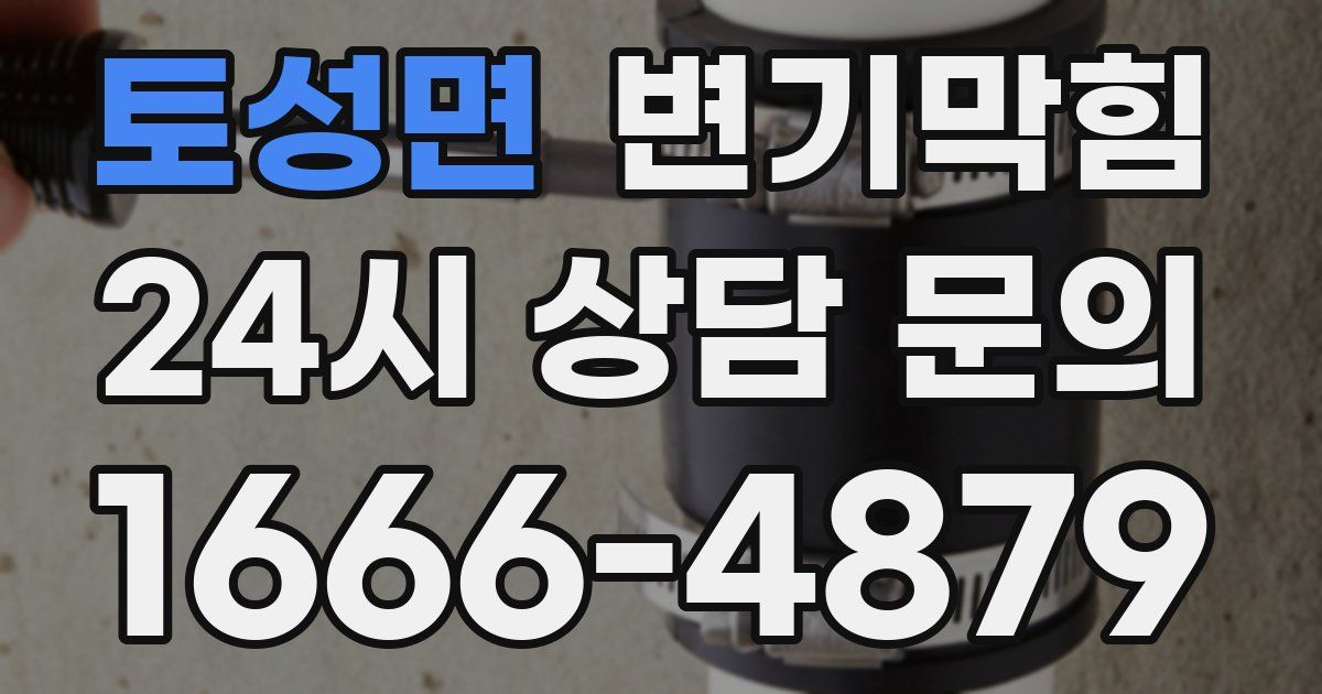 토성면 변기
