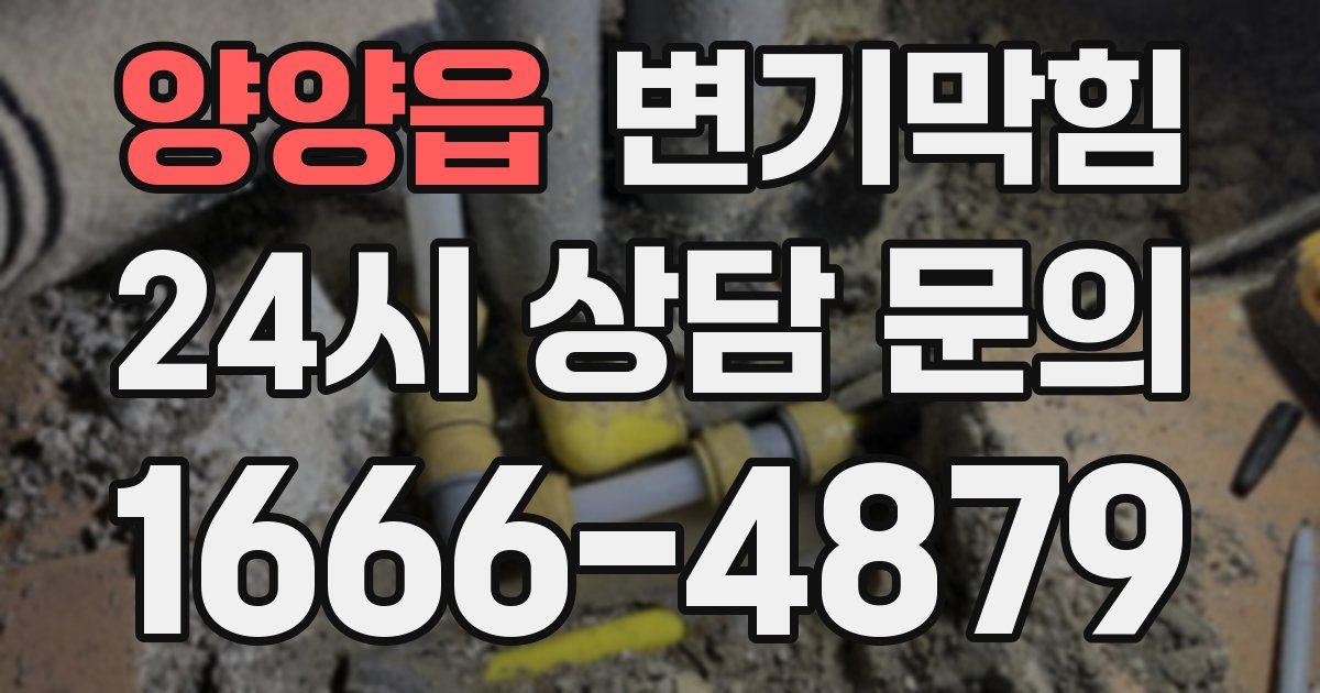 양양읍 변기