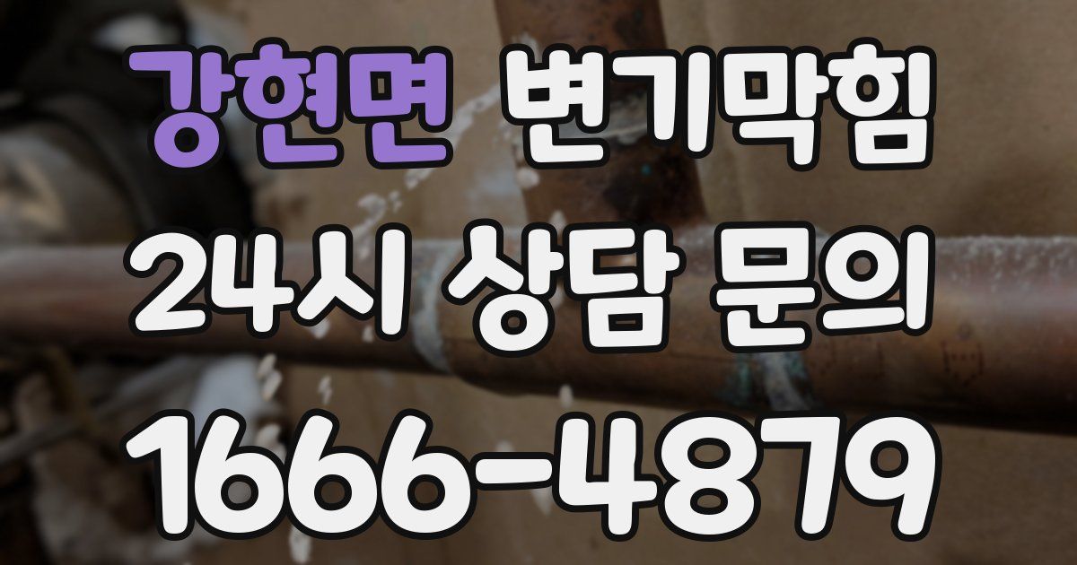 강현면 변기