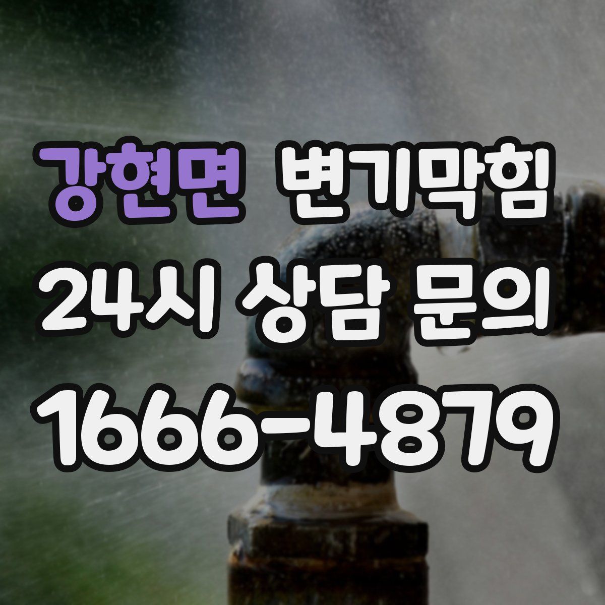 강현면 변기막힘
