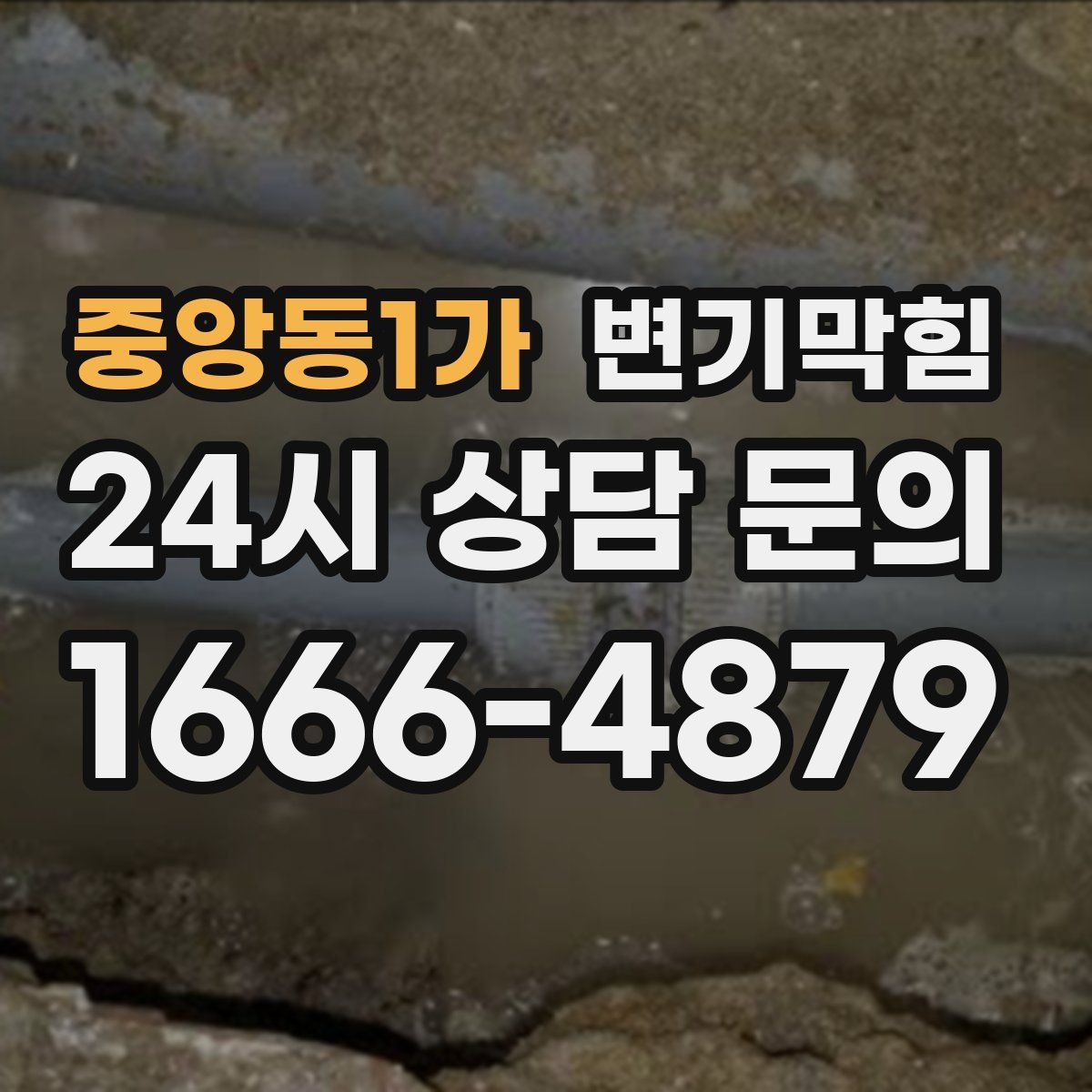 중앙동1가 변기막힘