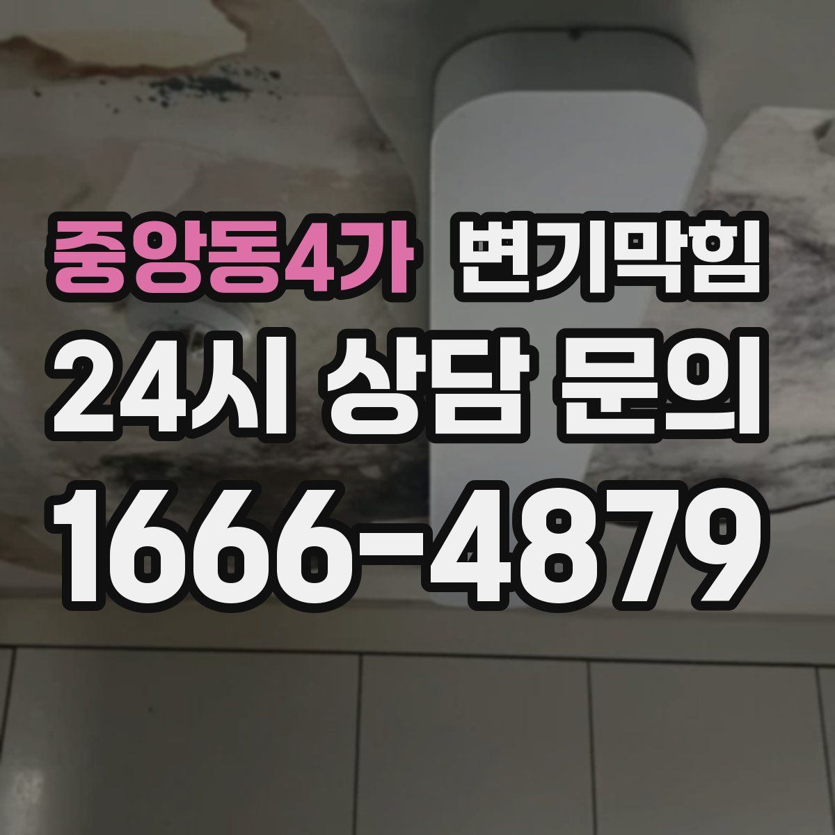 중앙동4가 변기막힘
