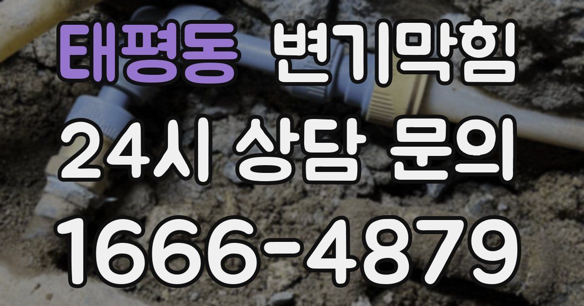 태평동 변기