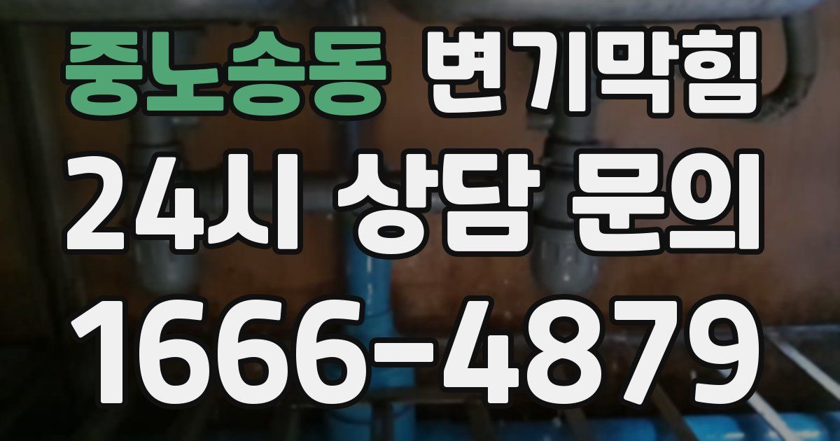 중노송동 변기