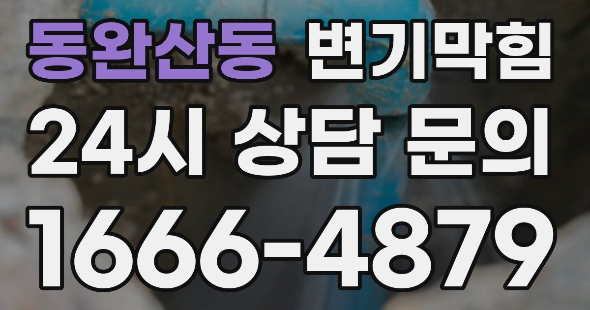 동완산동 변기