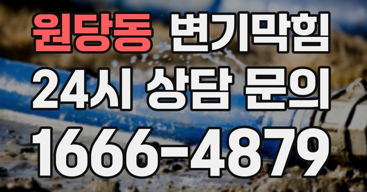 원당동 변기