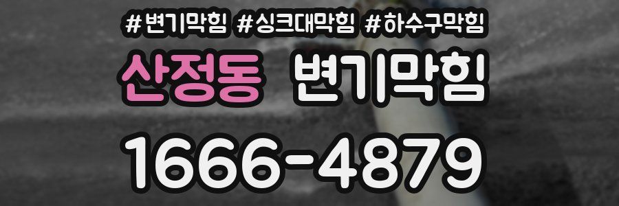 변기막힘