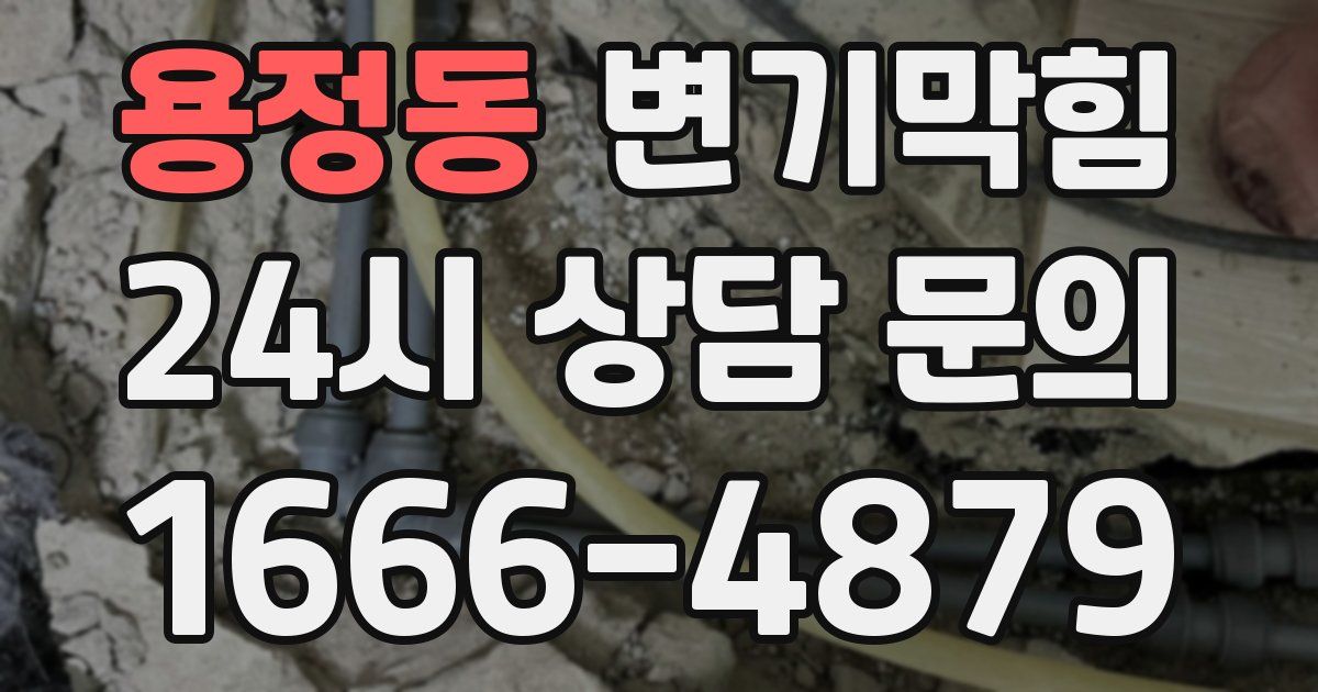 용정동 변기
