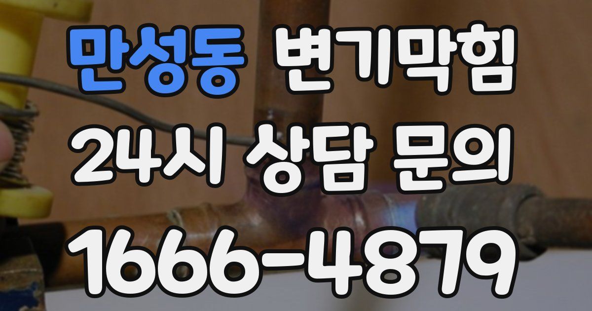 만성동 변기