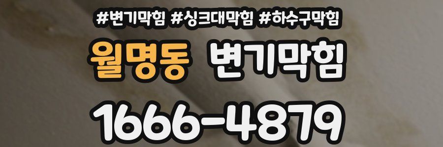 변기막힘