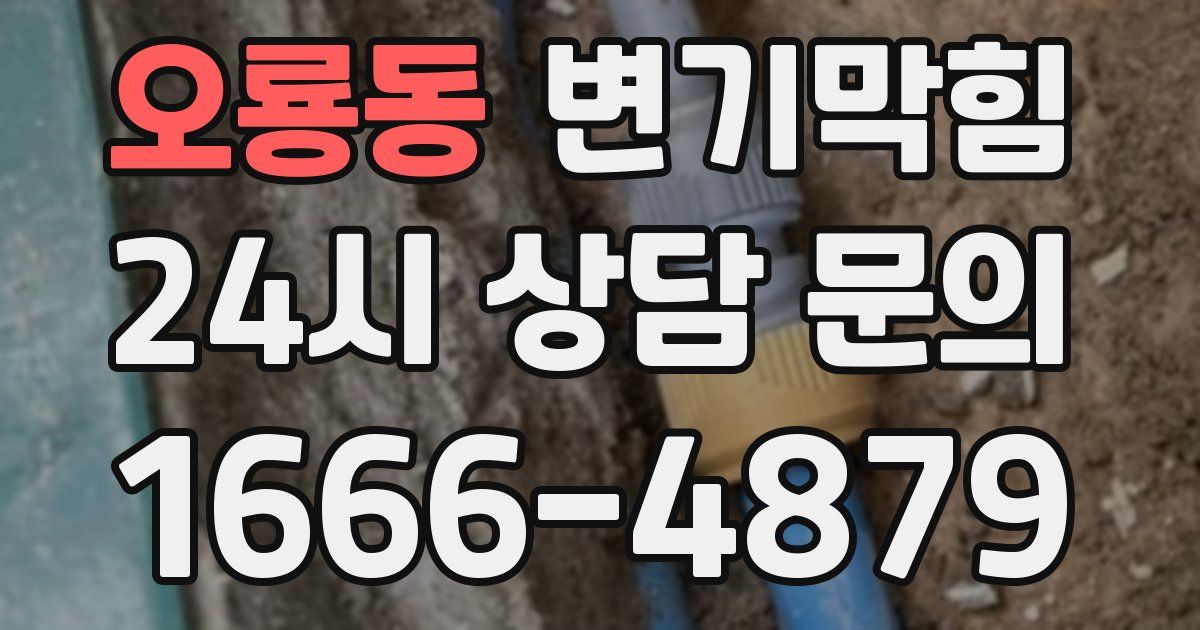 오룡동 변기