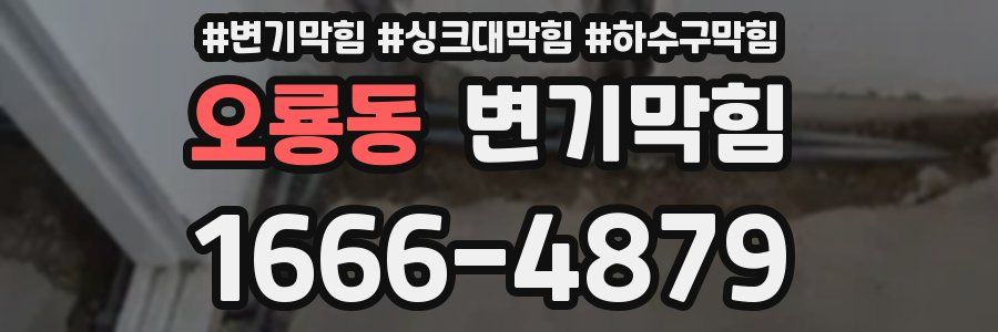 변기막힘