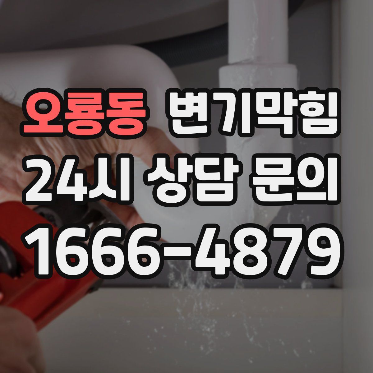 오룡동 변기막힘