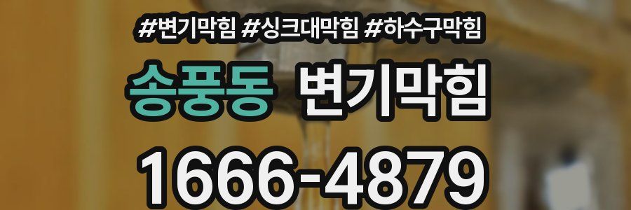 변기막힘