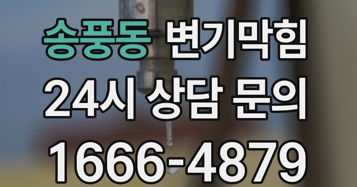 송풍동 변기