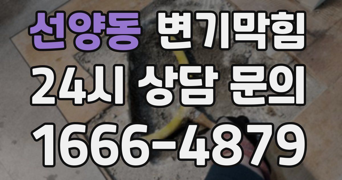 선양동 변기