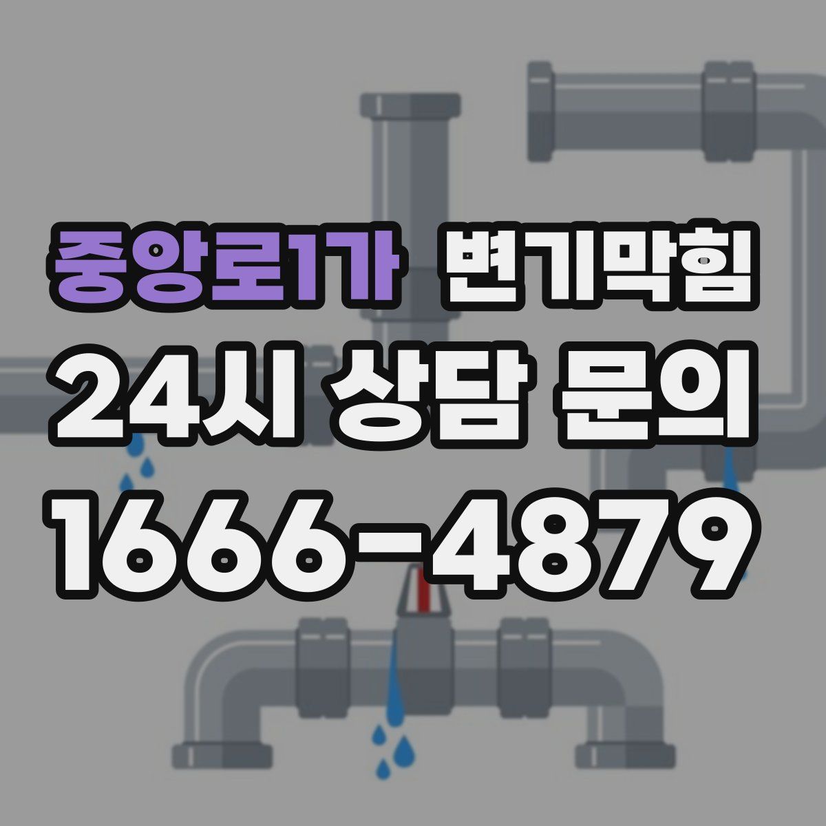 중앙로1가 변기막힘