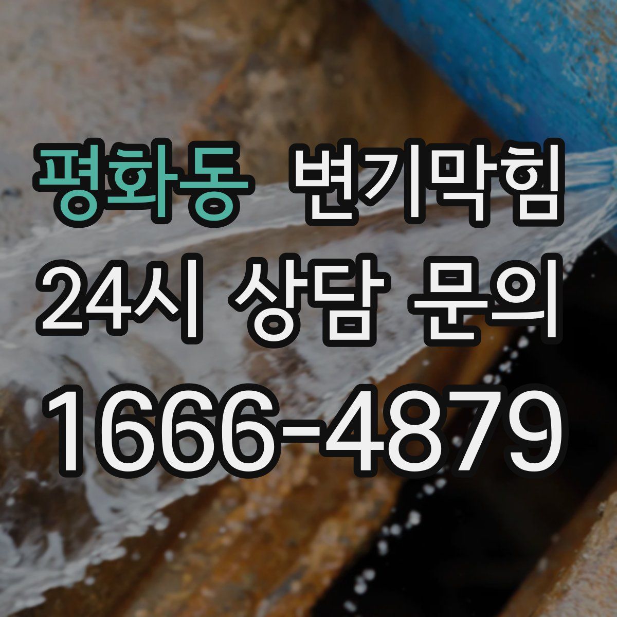 평화동 변기막힘